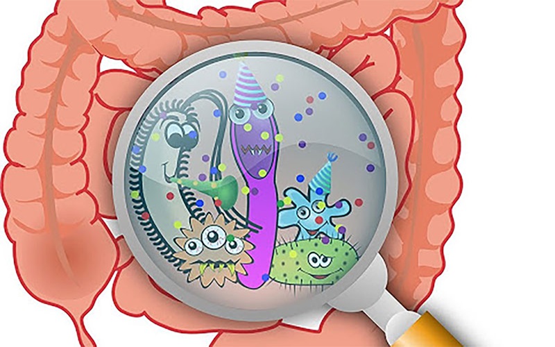 Tác dụng của men vi sinh Bacillus Subtilis